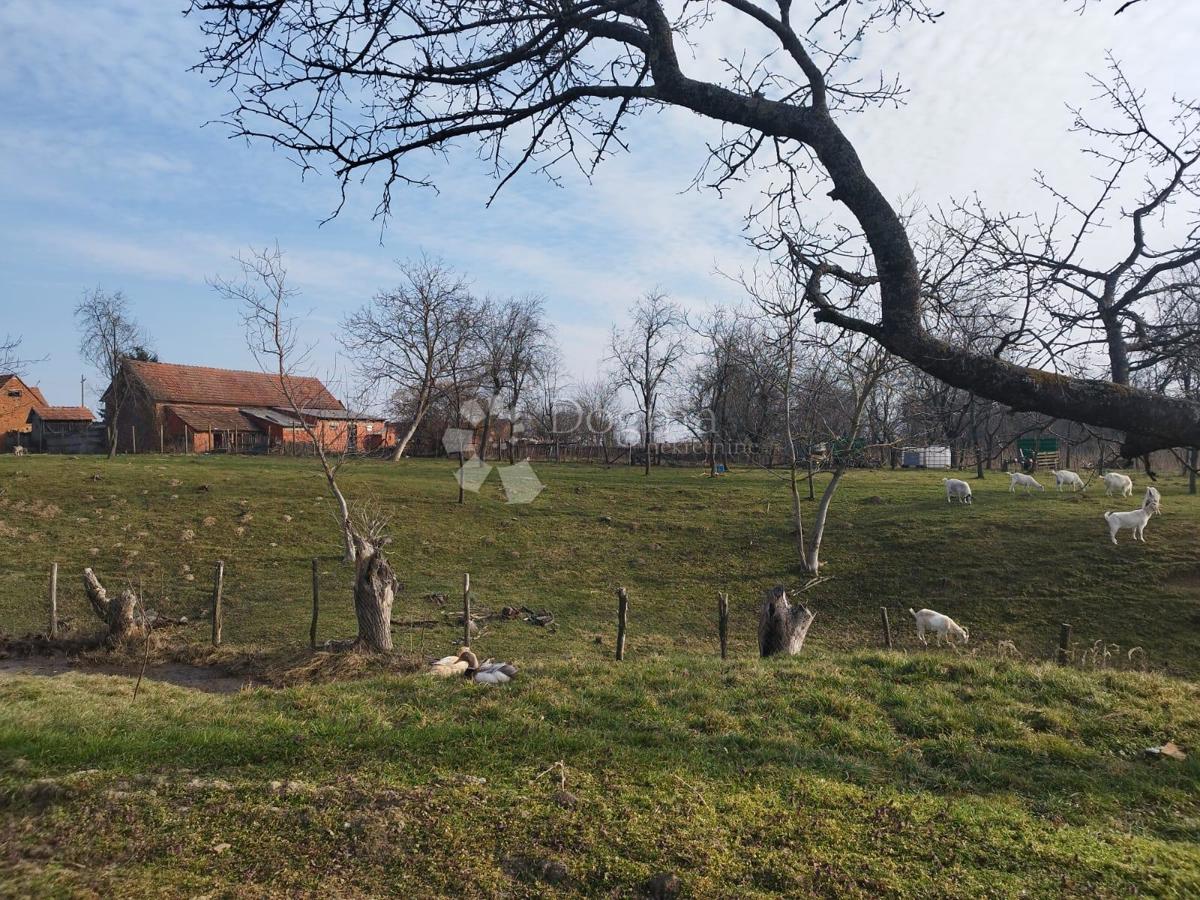 Terreno agricolo Kutjevo, 270.000m2