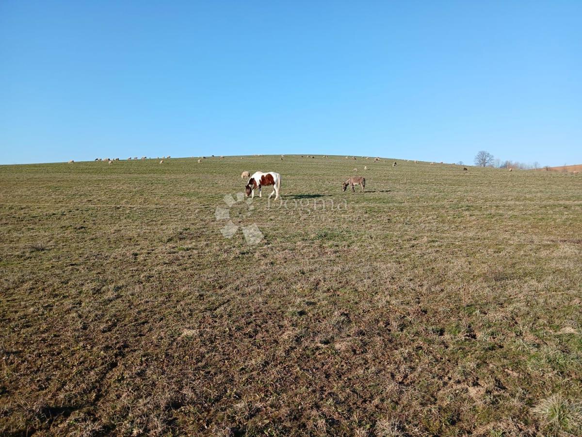Terreno agricolo Kutjevo, 270.000m2