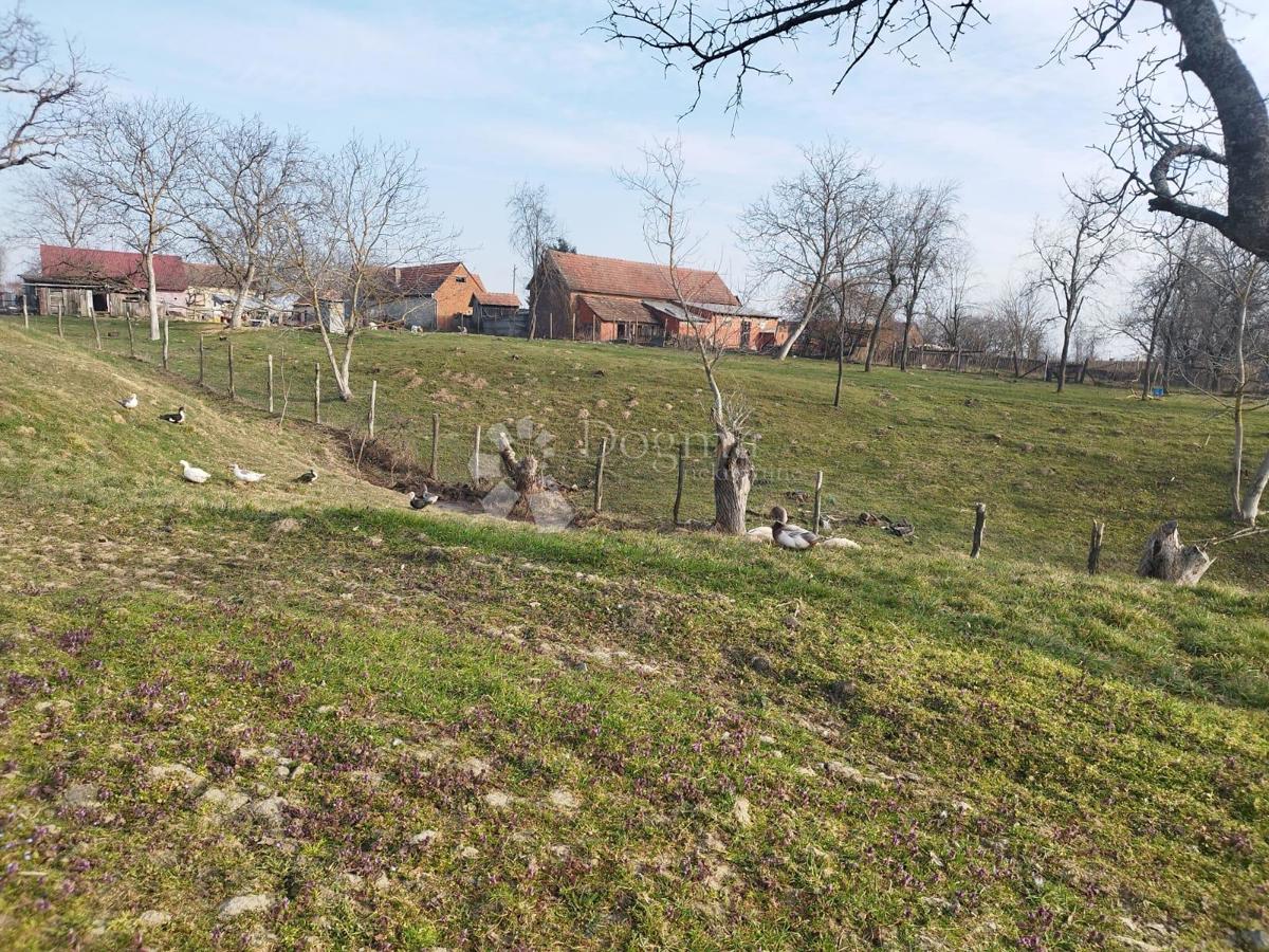 Terreno agricolo Kutjevo, 270.000m2
