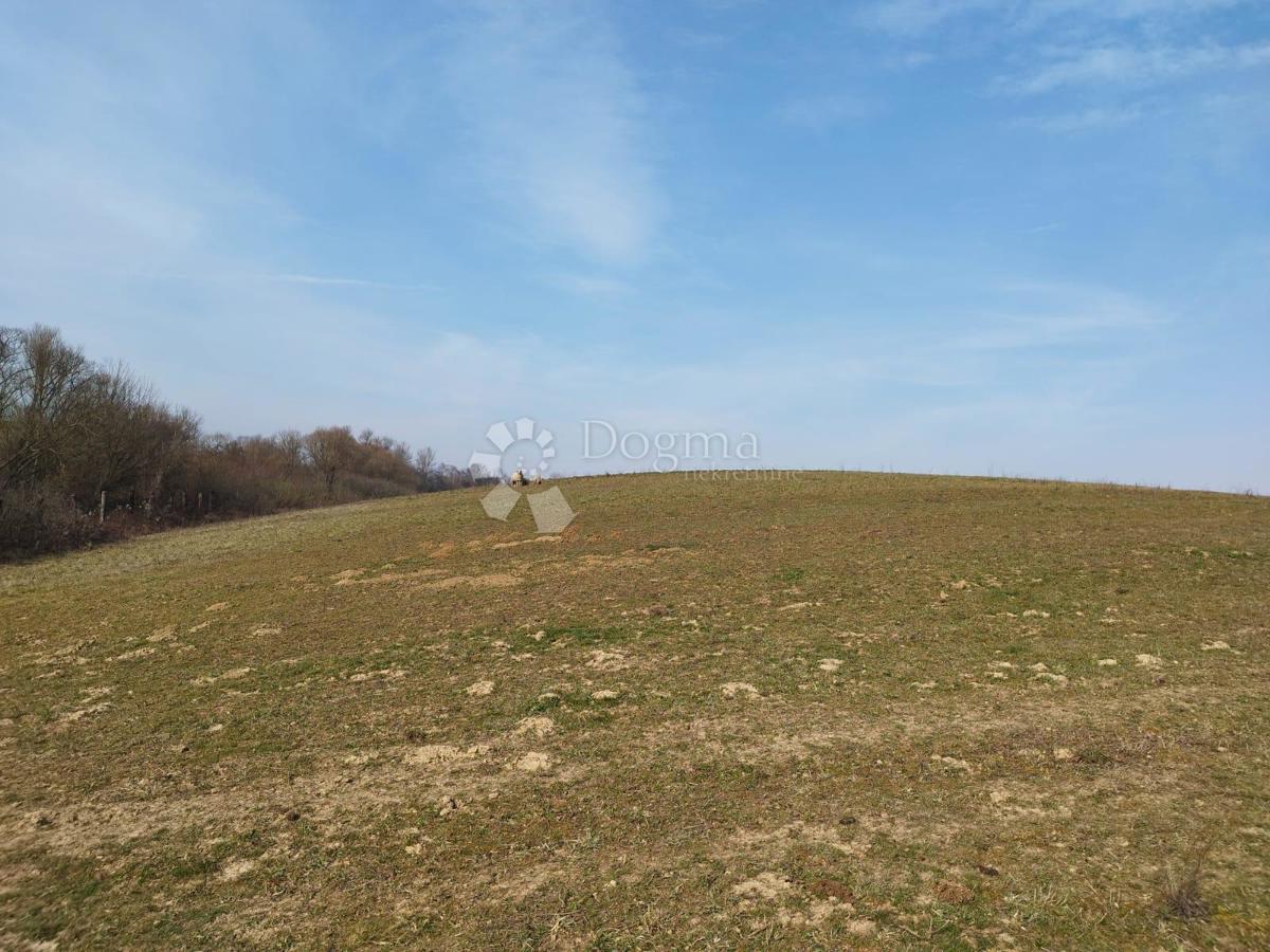 Terreno agricolo Kutjevo, 270.000m2