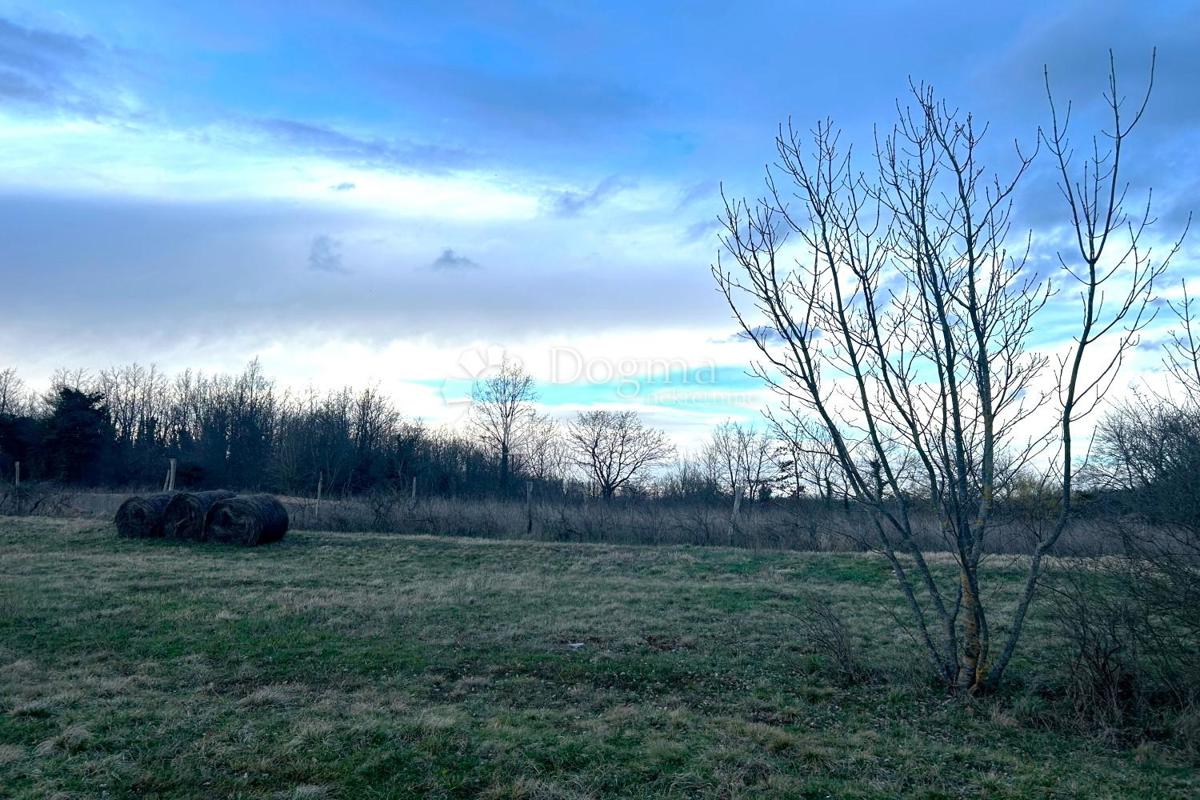 Terreno edificabile Žminj, 1.100m2