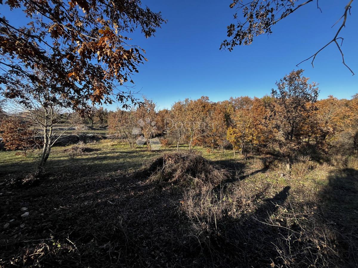 Terreno Čabrunići, Svetvinčenat, 1.031m2