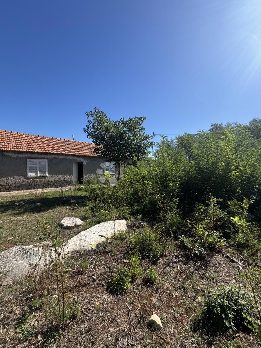 Casa Sikovo, Sveti Filip I Jakov, 177m2