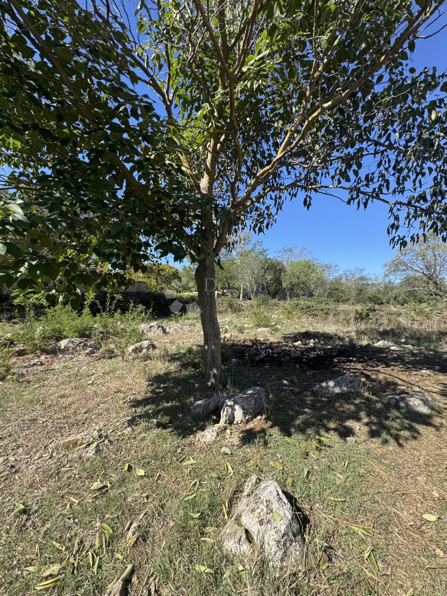 Casa Sikovo, Sveti Filip I Jakov, 177m2