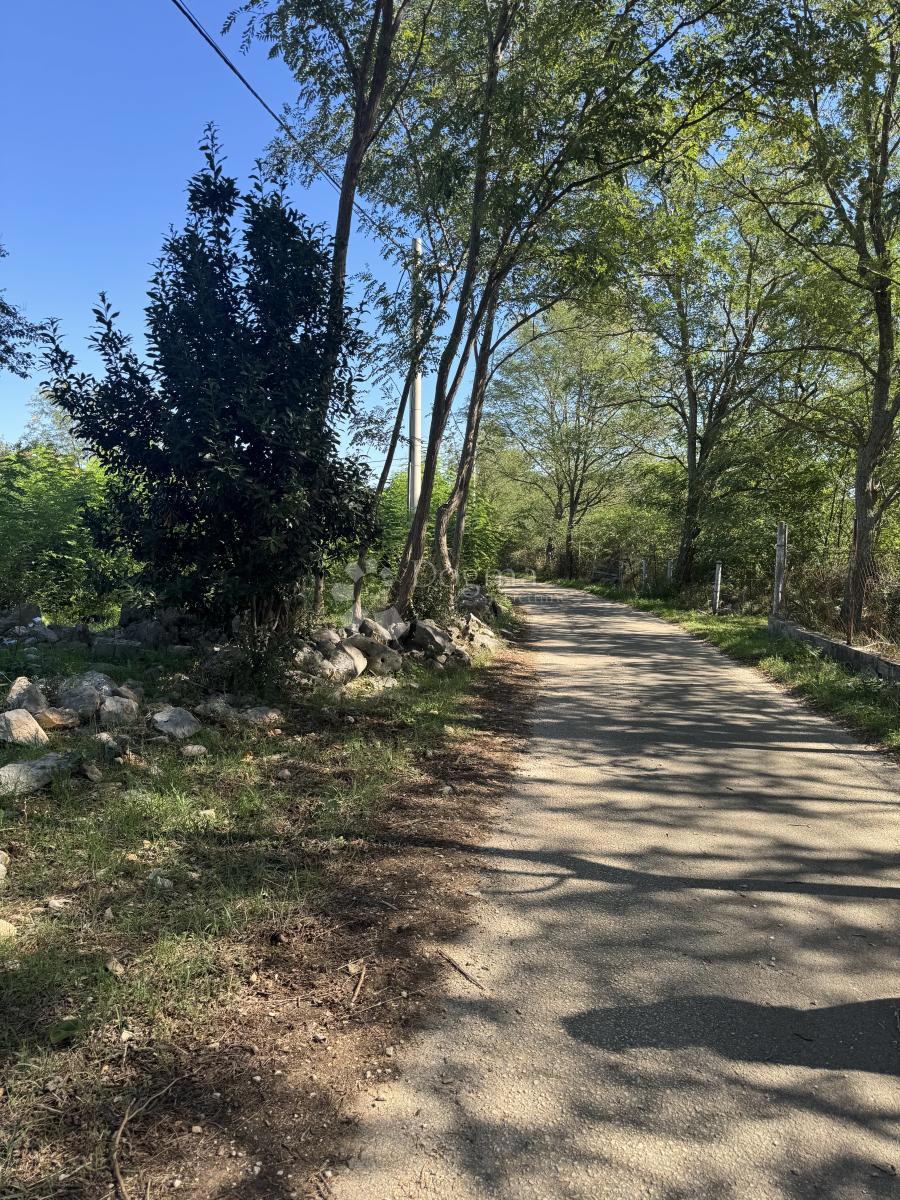 Casa Sikovo, Sveti Filip I Jakov, 177m2