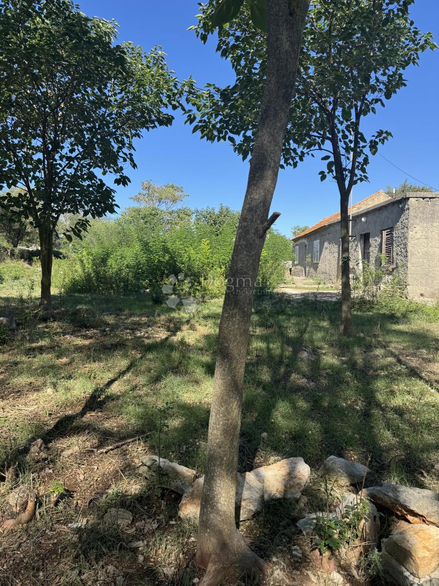 Casa Sikovo, Sveti Filip I Jakov, 177m2