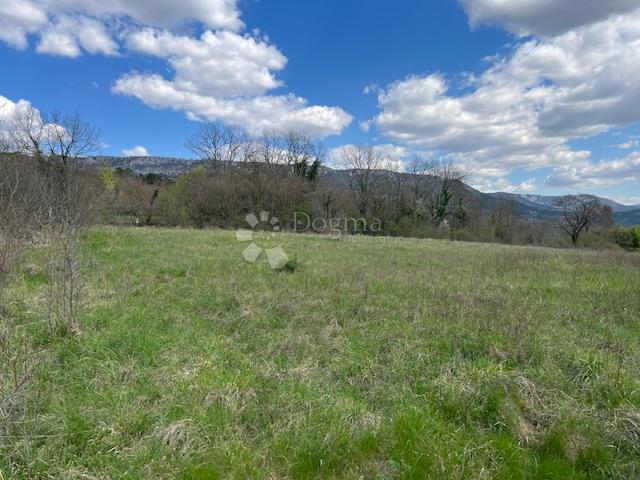 Terreno edificabile Buzet, 2.165m2