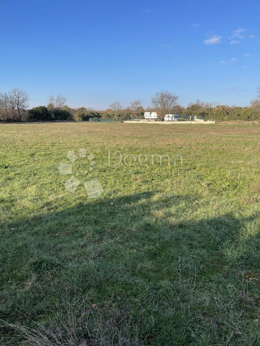 Terreno Barbariga, Vodnjan, 3.985m2