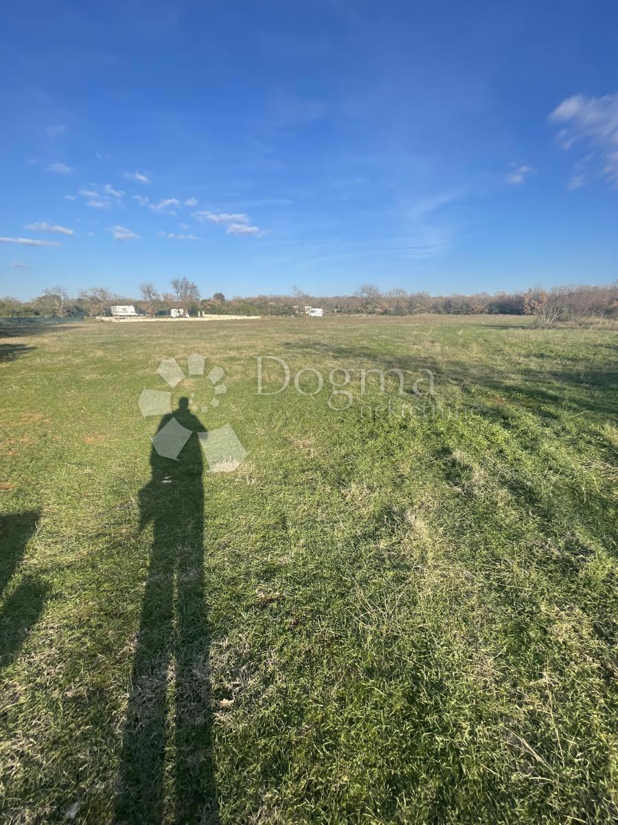 Terreno Barbariga, Vodnjan, 3.985m2