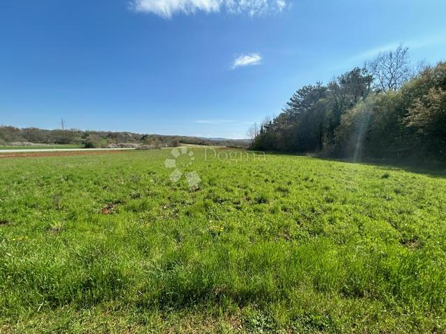 Terreno agricolo Nova Vas, Brtonigla, 7.870m2