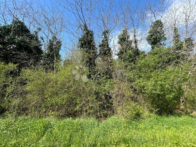 Terreno agricolo Nova Vas, Brtonigla, 7.870m2