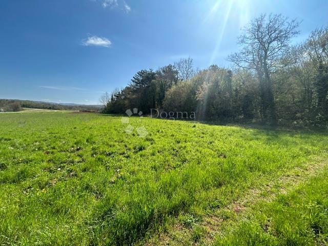 Terreno agricolo Nova Vas, Brtonigla, 7.870m2