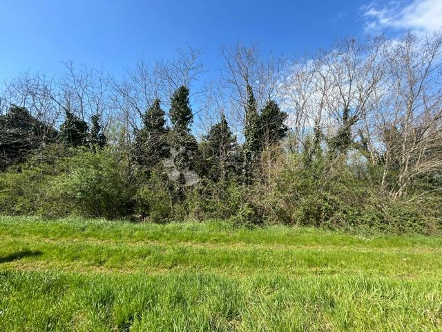 Terreno agricolo Nova Vas, Brtonigla, 7.870m2