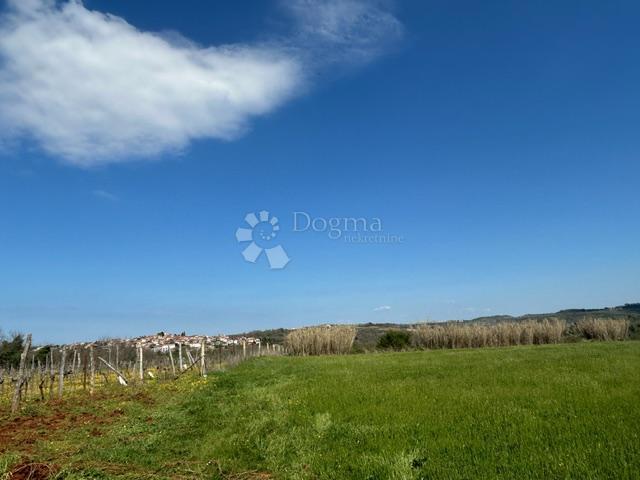 Terreno agricolo Nova Vas, Brtonigla, 7.870m2