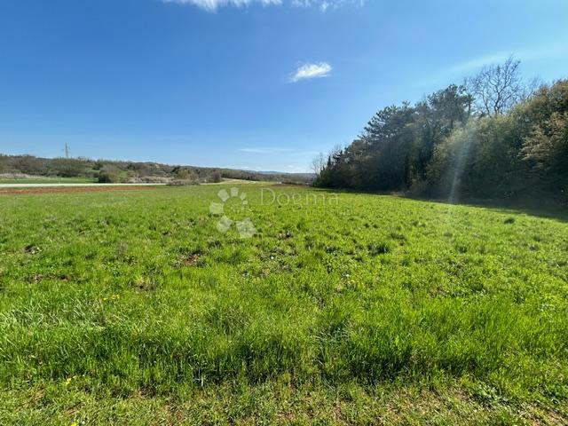 Terreno agricolo Nova Vas, Brtonigla, 7.870m2