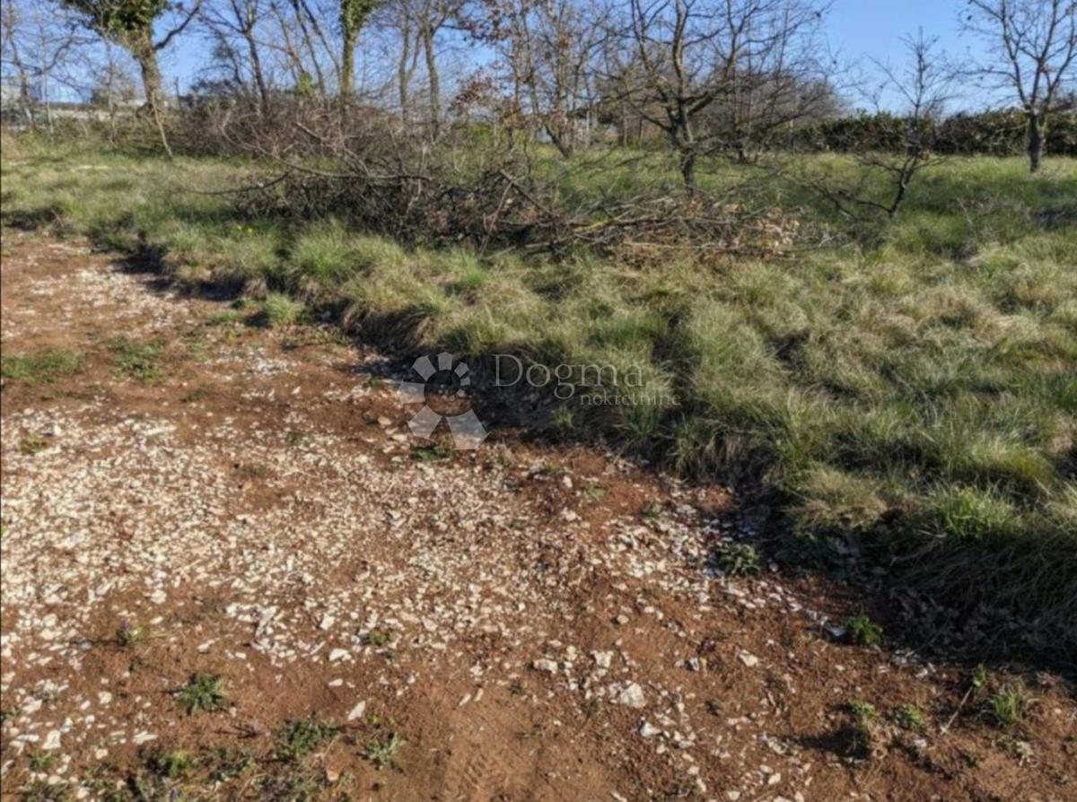 TERRENO IDEALE IN CENTRO CITTÀ, 1652 m2