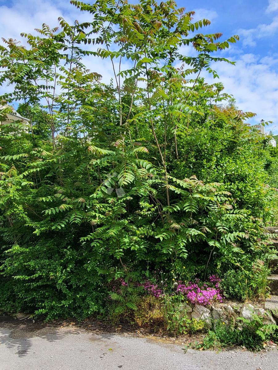 Terreno edificabile Dramalj, Crikvenica, 985m2