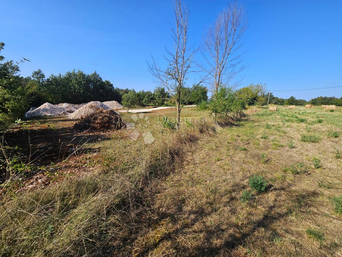 Terreno Žminj, 6.046m2