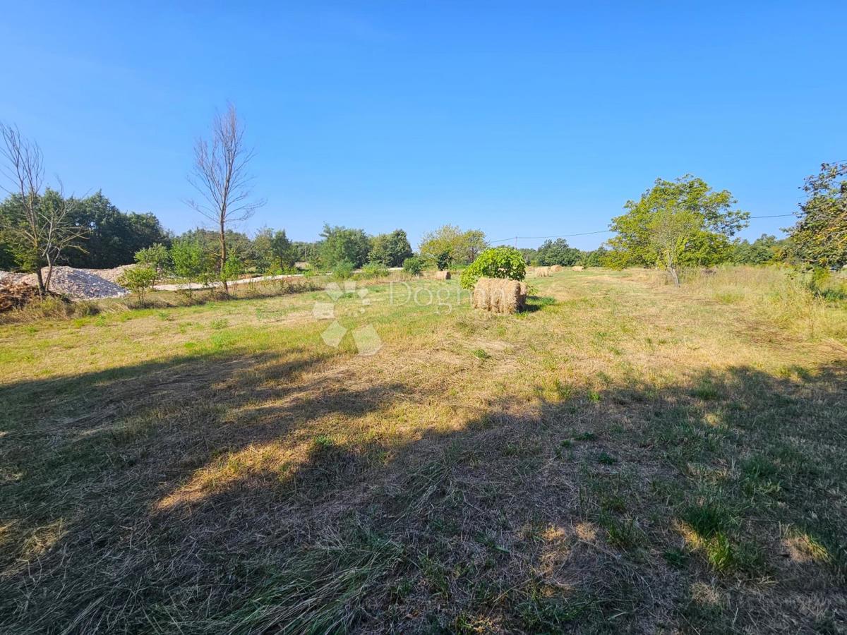 Terreno Žminj, 6.046m2