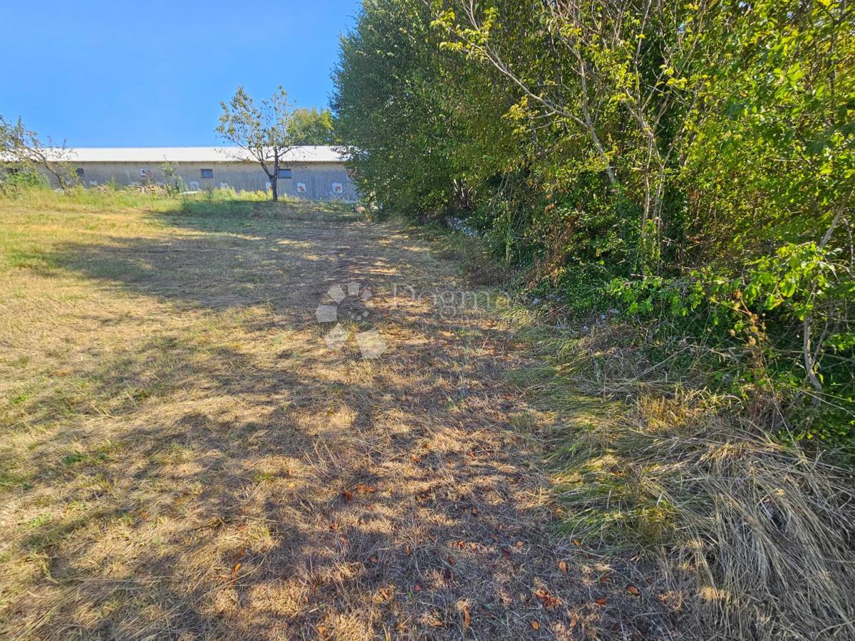 Terreno Žminj, 6.046m2