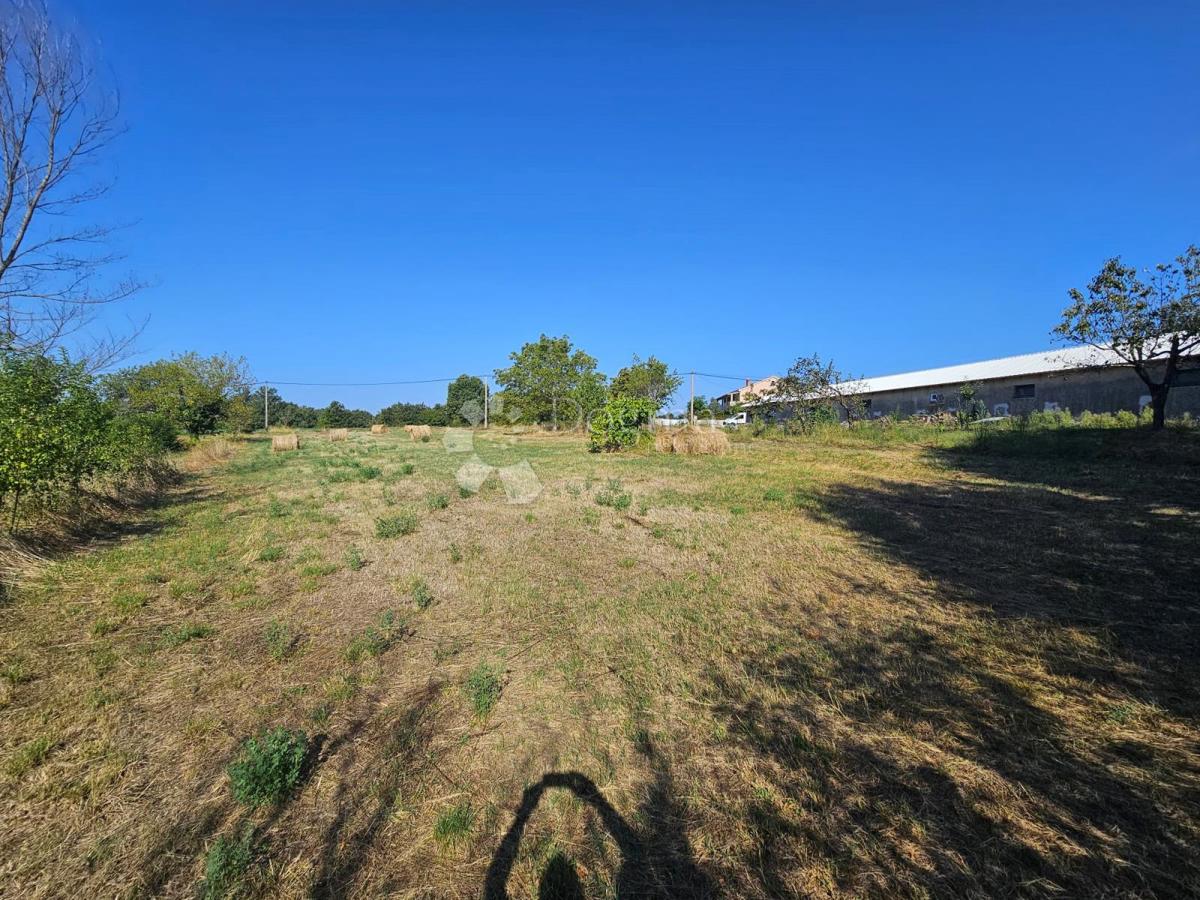 Terreno Žminj, 6.046m2