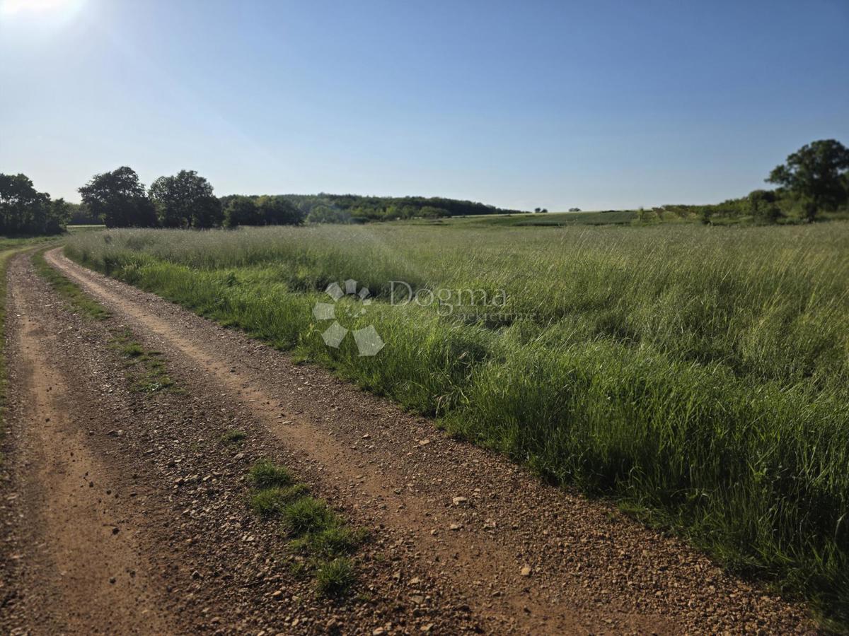 Terreno agricolo Kaštelir, Kaštelir-Labinci, 32.620m2