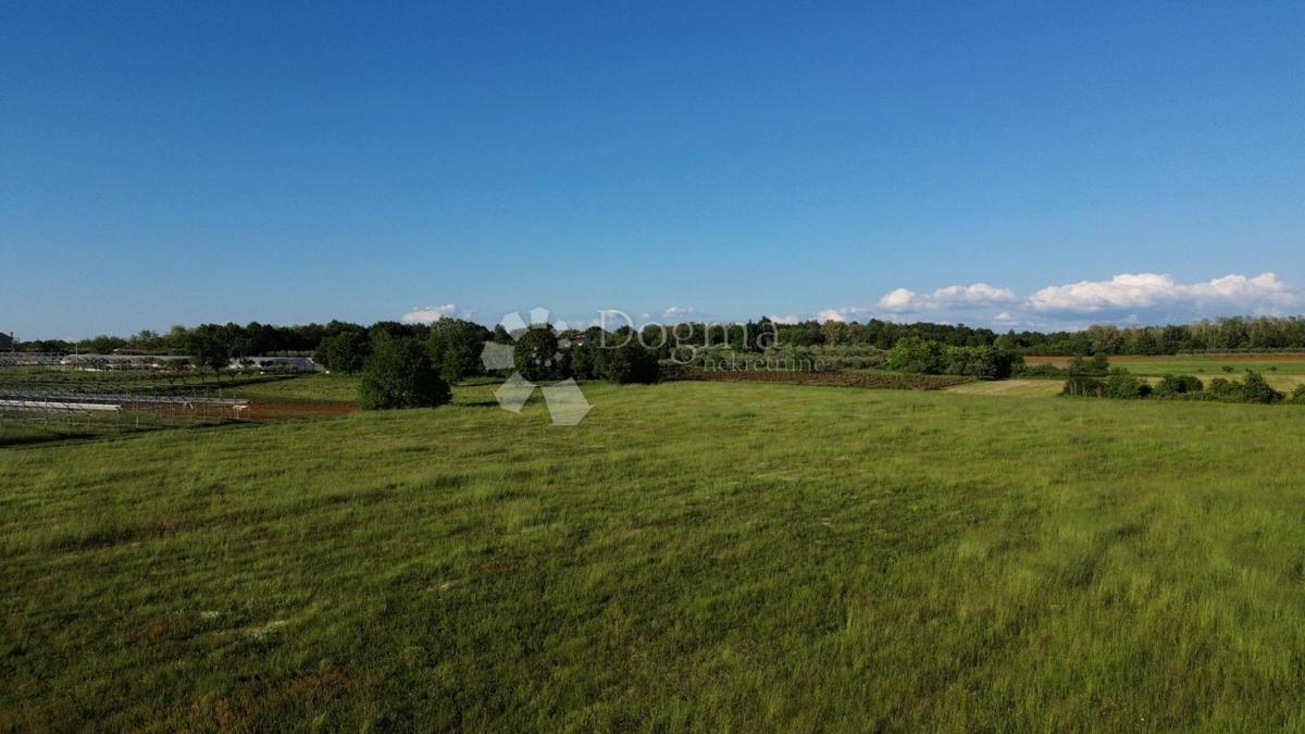 Terreno agricolo Kaštelir, Kaštelir-Labinci, 32.620m2
