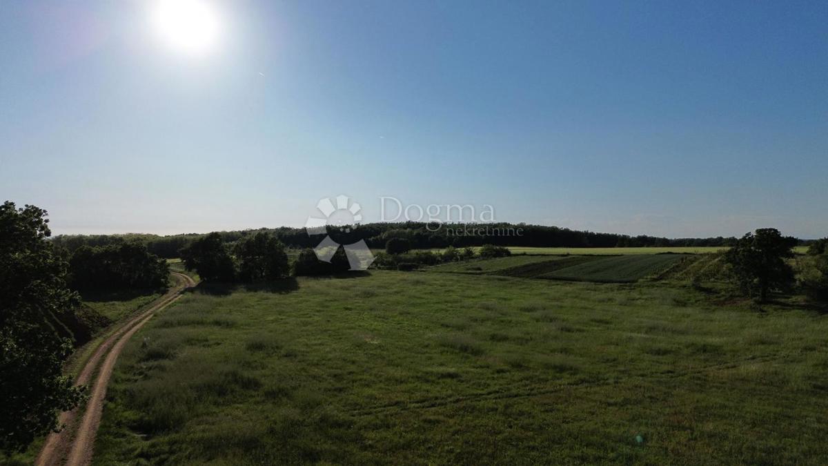 Terreno agricolo Kaštelir, Kaštelir-Labinci, 32.620m2