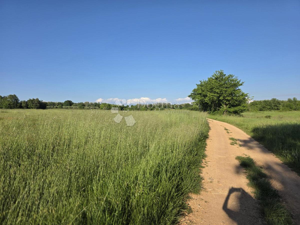 Terreno agricolo Kaštelir, Kaštelir-Labinci, 32.620m2