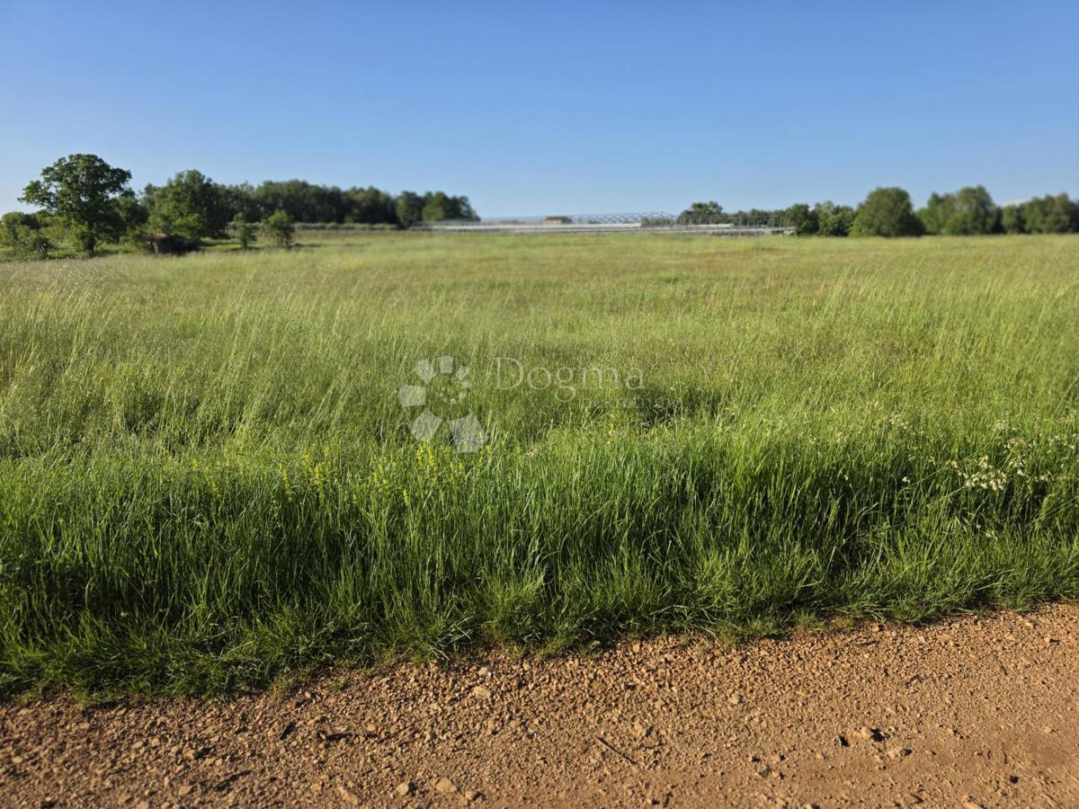 Terreno agricolo Kaštelir, Kaštelir-Labinci, 32.620m2