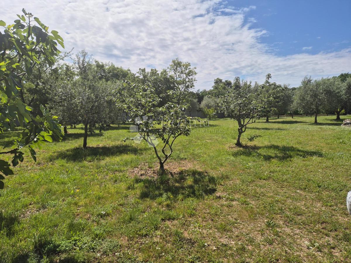 Terreno edificabile Hrboki, Barban, 2.160m2