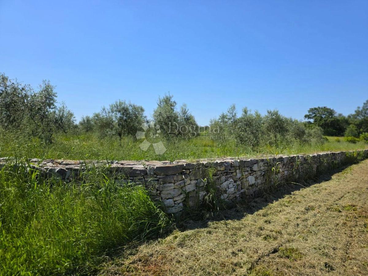 Terreno edificabile Umag, 8.056m2