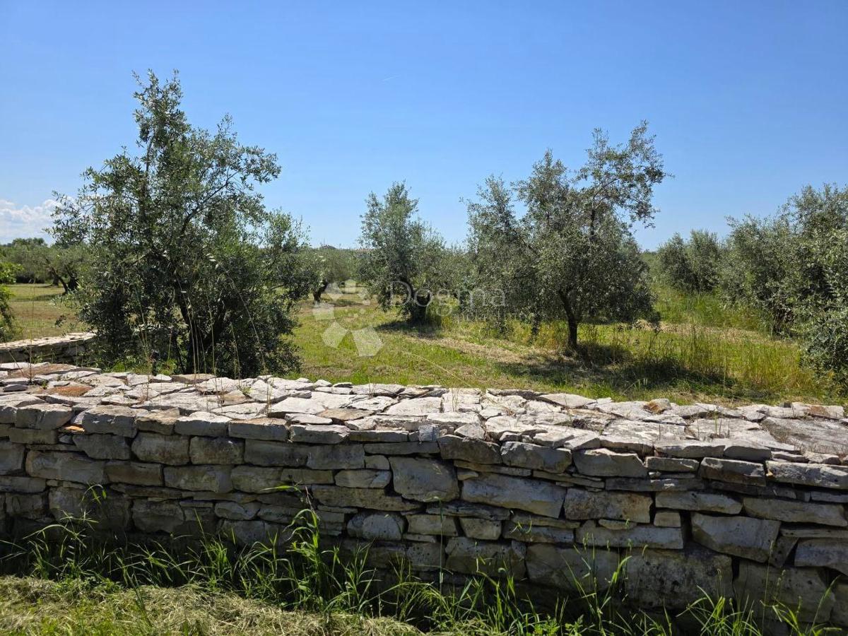 Terreno edificabile Umag, 8.056m2