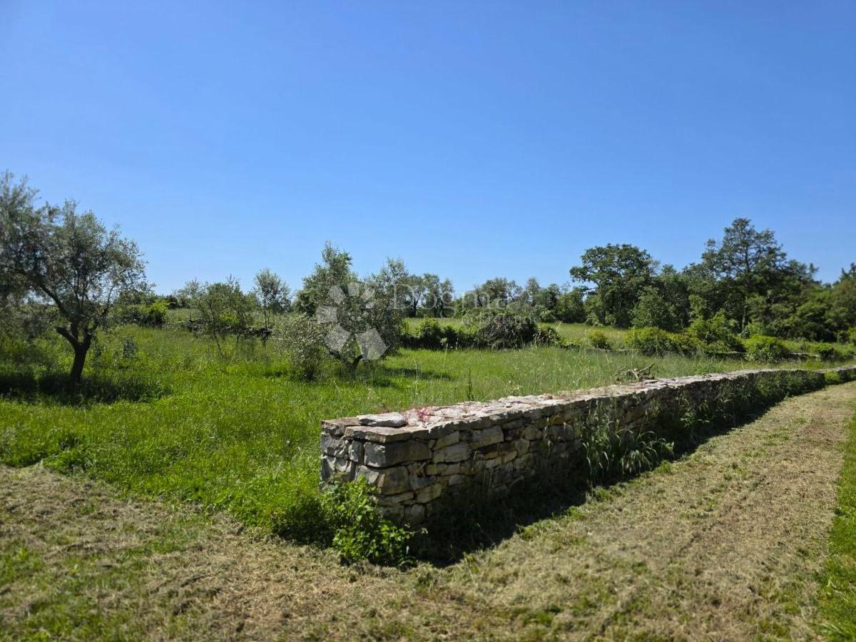 Terreno edificabile Umag, 8.056m2