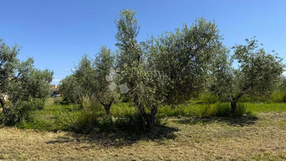 Terreno edificabile Umag, 8.056m2