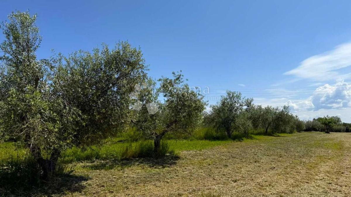 Terreno edificabile Umag, 8.056m2