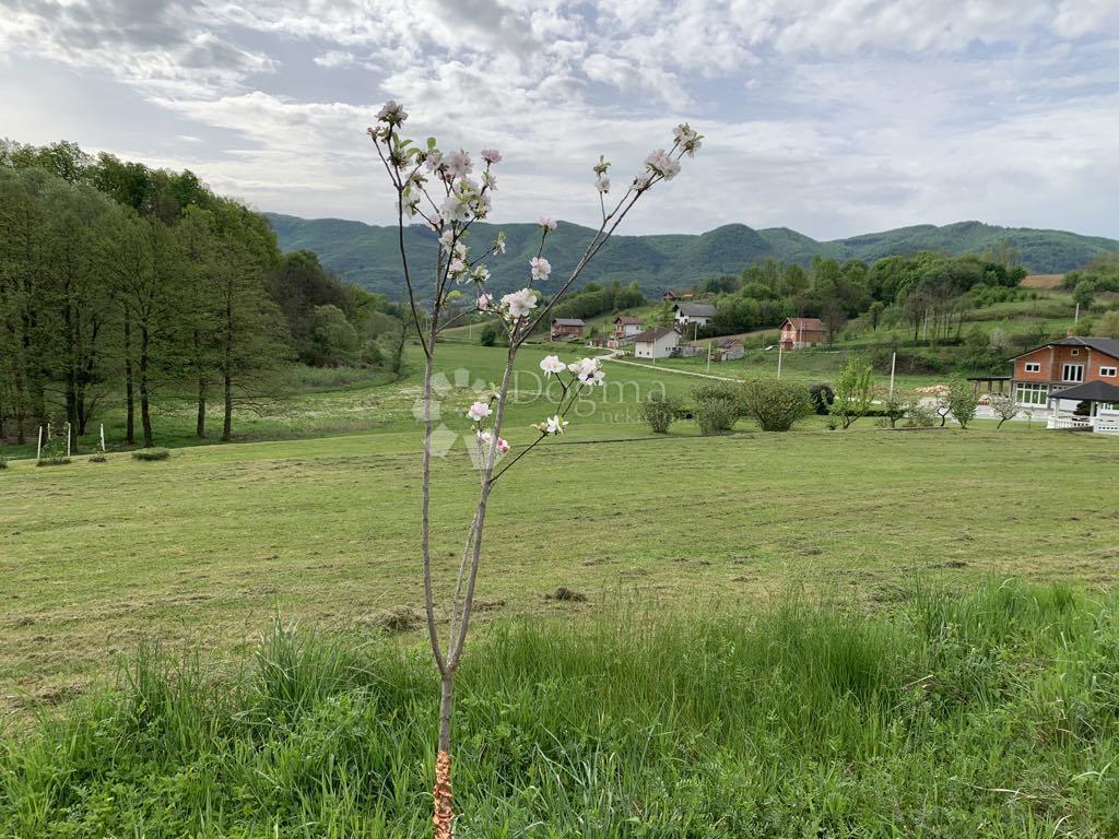 Casa Crkovec, Lepoglava, 263m2