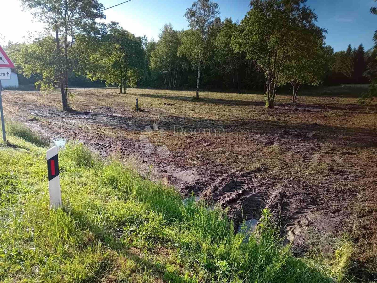 Casa Batinova Kosa, Topusko, 617m2