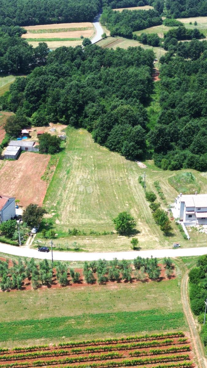 Terreno edificabile Barban, 797m2