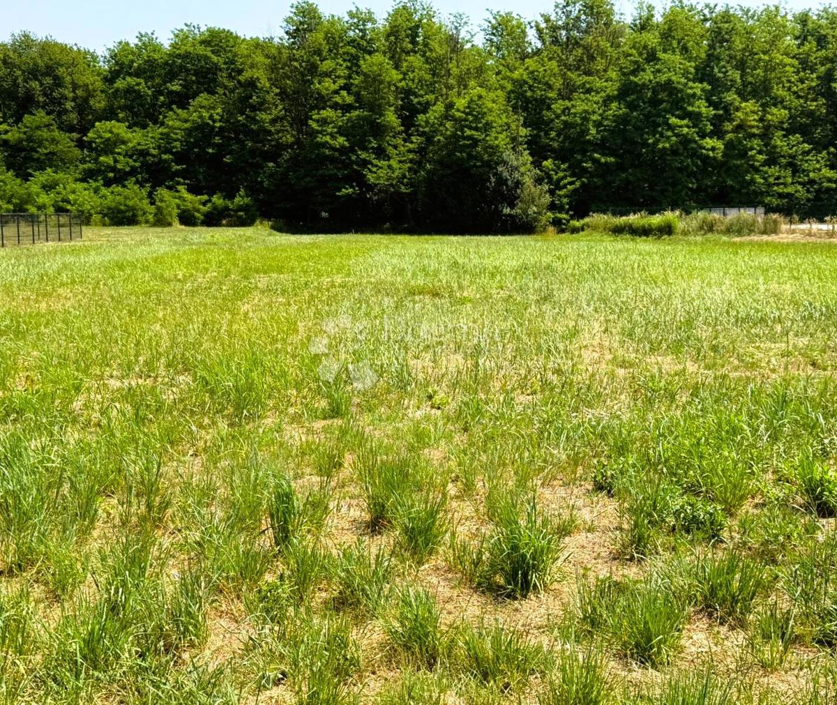 Terreno edificabile Mursko Središće, 4.030m2