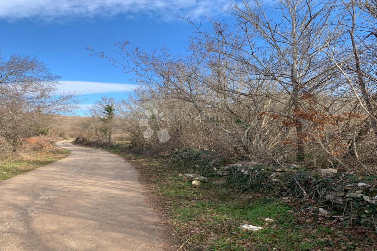 Terreno agricolo Mutvoran, Marčana, 35.128m2