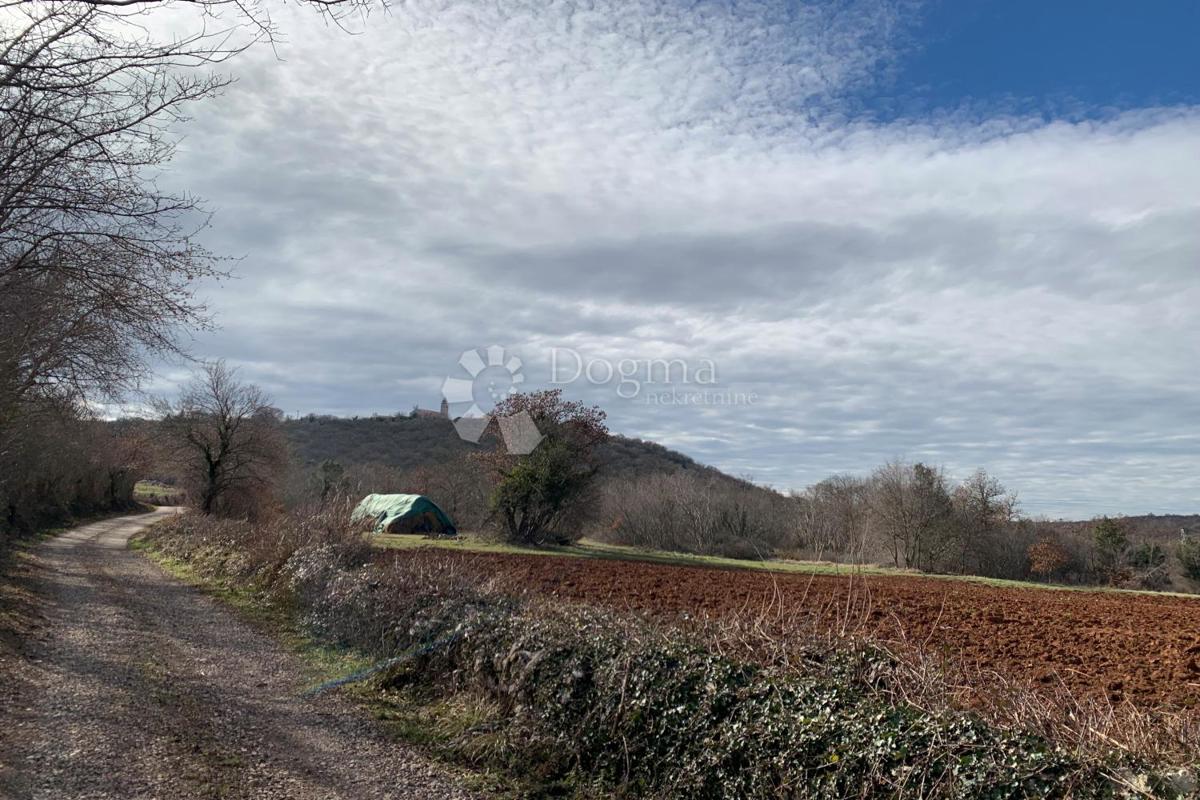 Terreno agricolo Mutvoran, Marčana, 35.128m2