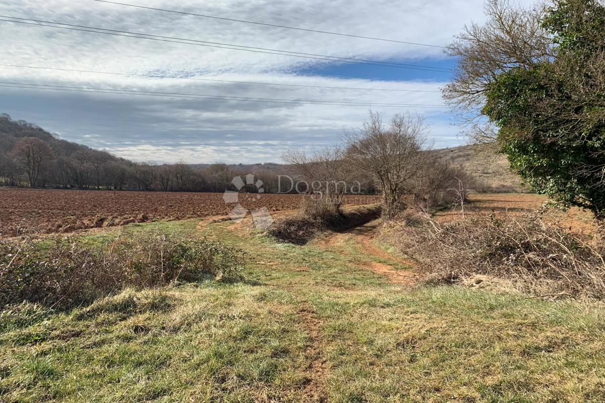 Terreno agricolo Mutvoran, Marčana, 35.128m2