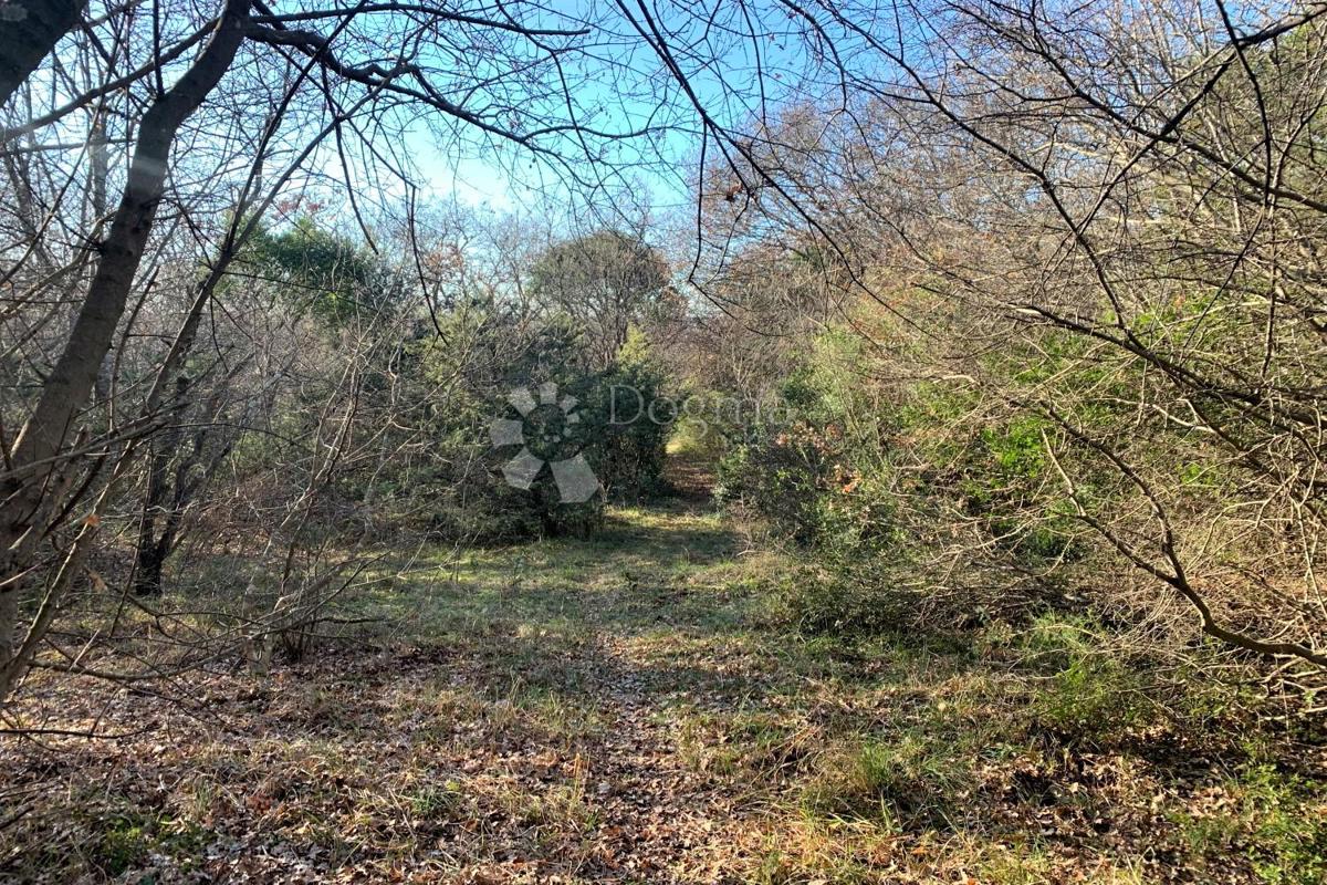 Terreno agricolo Mutvoran, Marčana, 35.128m2