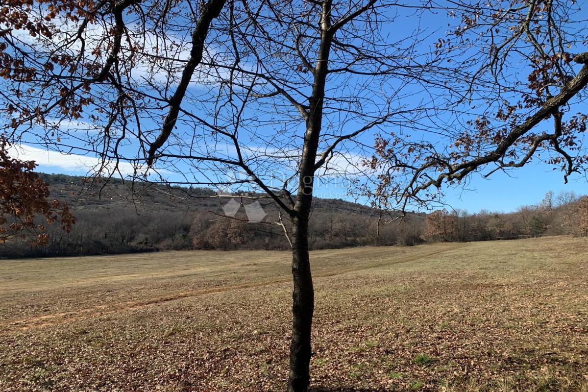 Terreno agricolo Mutvoran, Marčana, 35.128m2