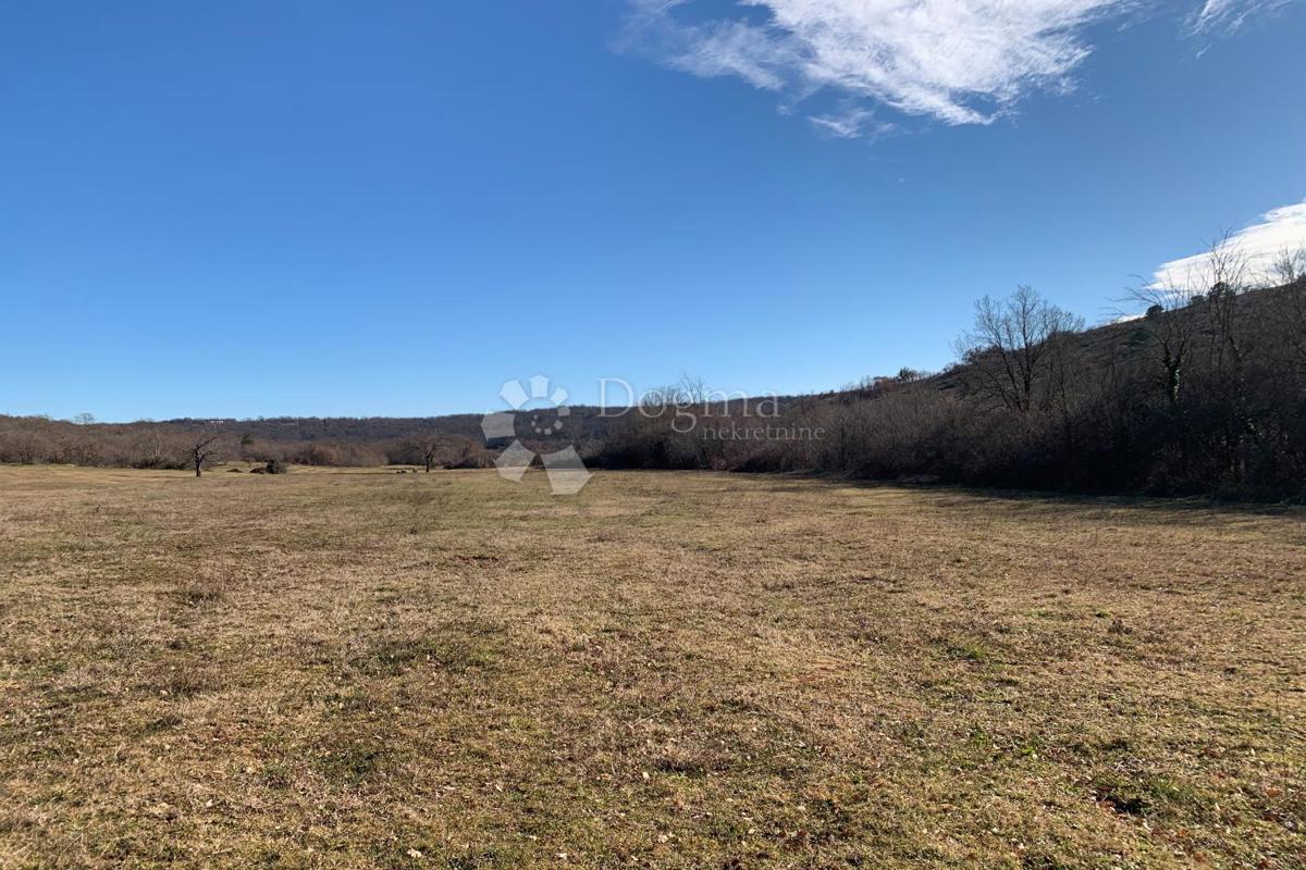 Terreno agricolo Mutvoran, Marčana, 35.128m2