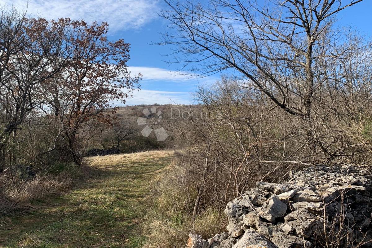 Terreno agricolo Mutvoran, Marčana, 35.128m2