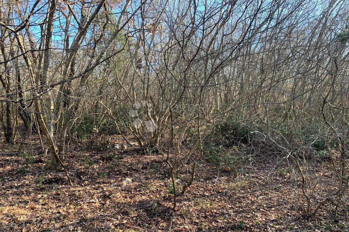 Terreno agricolo Mutvoran, Marčana, 35.128m2