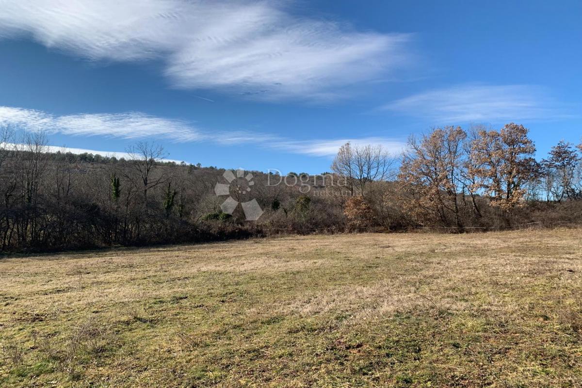 Terreno agricolo Mutvoran, Marčana, 35.128m2