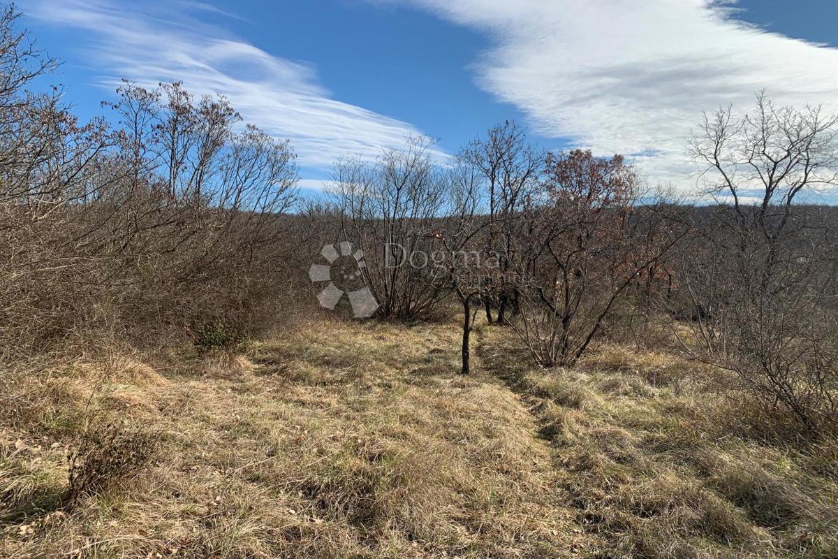 Terreno agricolo Mutvoran, Marčana, 35.128m2